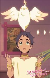 Watch Dera-chan of the Southern Island (Short 2014)