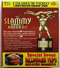 Watch 1996 Slammy Awards (TV Special 1996)