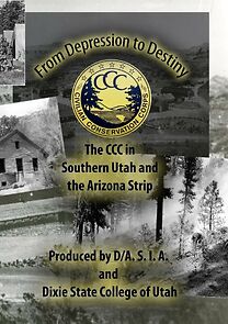 Watch From Depression to Destiny