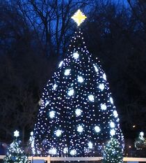 Watch The National Christmas Tree Lighting (TV Special 2011)
