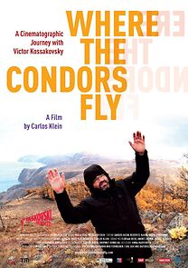 Watch Where the Condors Fly