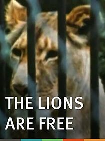 Watch The Lions Are Free