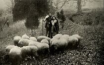 Watch The Daughter of the Hills (Short 1913)