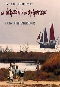 Watch The Little Dolphins