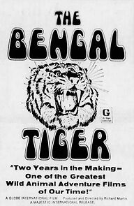 Watch The Bengal Tiger