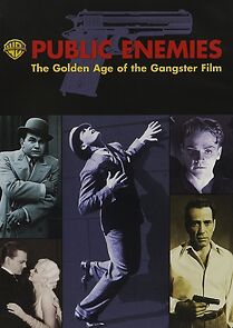 Watch Public Enemies: The Golden Age of the Gangster Film