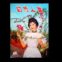 Watch Jia ren you yue