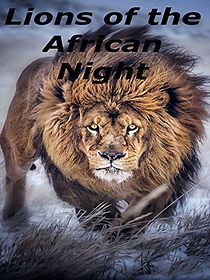 Watch Lions of the African Night