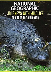 Watch Realm of the Alligator