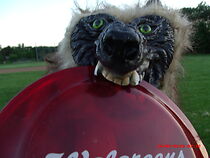 Watch Night Fever (Short 2015)