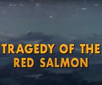 Watch The Undersea World of Jacques Cousteau: Tragedy of the Red Salmon