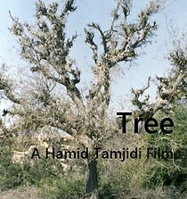 Watch Tree (Short 1982)