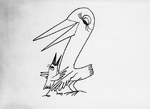 Watch Ptaci kohaci (Short 1965)