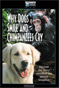 Watch Why Dogs Smile & Chimpanzees Cry