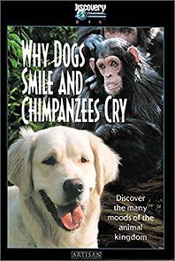 Watch Why Dogs Smile & Chimpanzees Cry