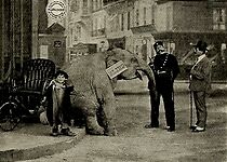 Watch Tiny Tim and the Adventures of His Elephant (Short 1913)