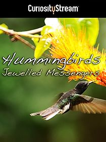 Watch Hummingbirds: Jewelled Messengers