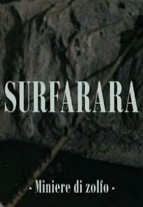 Watch Surfarara (Short 1955)