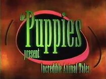Watch The Puppies Present Incredible Animal Tales (TV Special 1998)