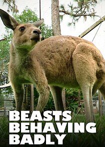 Watch Beasts Behaving Badly