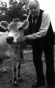 Watch Tulip (Short 1998)