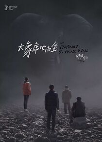 Watch An Elephant Sitting Still