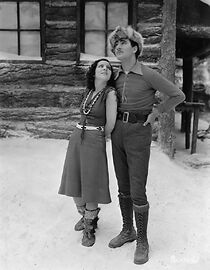 Watch Monsieur Le Fox