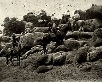 Watch The Cringer (Short 1912)