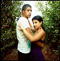 Watch Apples of the Golan