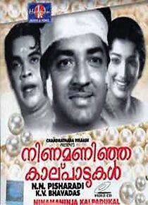 Watch Ninamaninja Kaalpaadukal