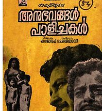 Watch Anubhavangal Palichakal