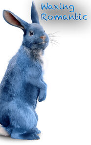 Watch Waxing Romantic (Short 2009)