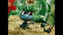 Watch A Little Froggy Is Looking for His Father (Short 1964)
