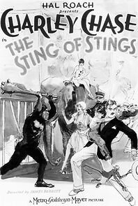 Watch The Sting of Stings (Short 1927)