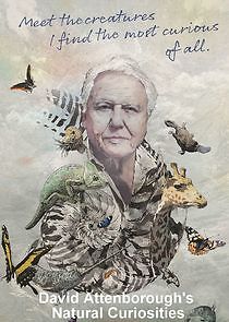 Watch David Attenborough's Natural Curiosities