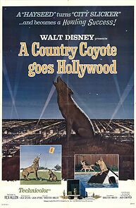 Watch A Country Coyote Goes Hollywood (Short 1965)