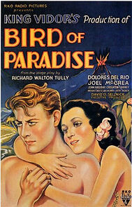 Watch Bird of Paradise