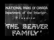 Watch The Beaver Family (Short 1929)