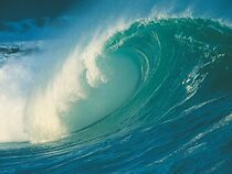 Watch The Quest for Noah's Flood