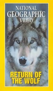 Watch Return of the Wolf
