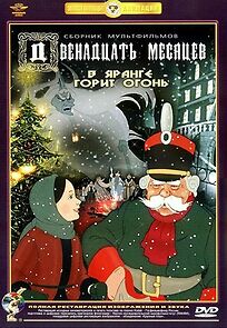 Watch The Twelve Months