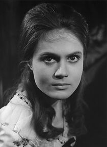 Watch Die kleinen Füchse