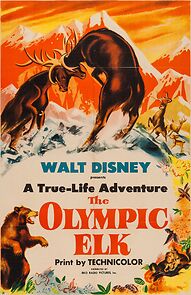 Watch The Olympic Elk (Short 1952)