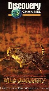 Watch Cheetahs, the Winning Streak