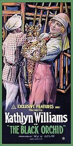 Watch The Black Orchid (Short 1916)