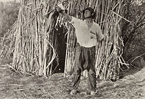 Watch The Curse of the Redman (Short 1911)