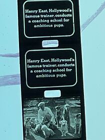 Watch Famous Movie Dogs (Short 1940)