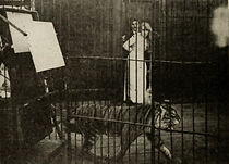 Watch The Lady or the Tigers (Short 1914)