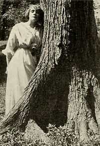 Watch The Last Dance (Short 1912)