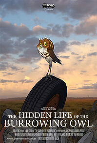 Watch The Hidden Life of the Burrowing Owl (Short 2008)